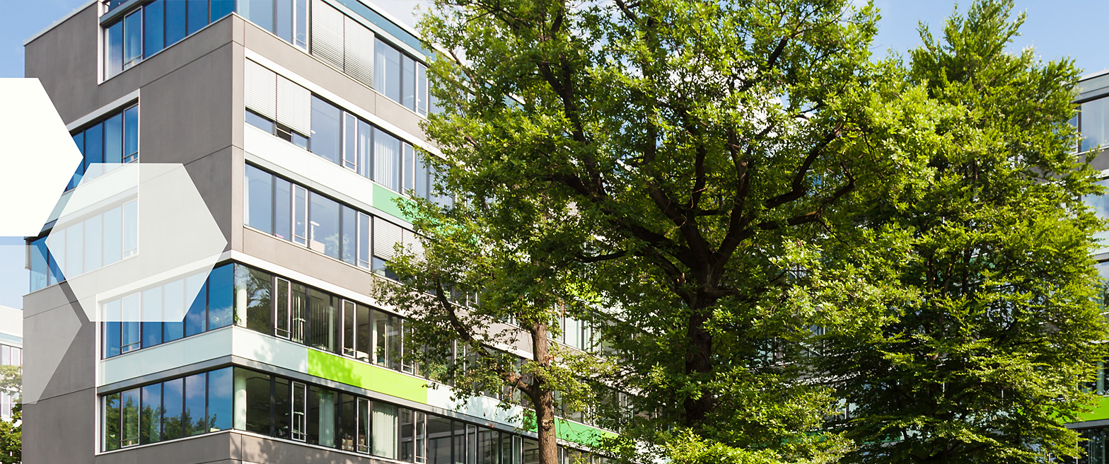 investitions_management